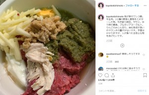 「人が食べれる安心な物をあげたい」と岸本加世子（画像は『岸本加世子　2019年7月13日付Instagram「我が家のワンコ飯。」』のスクリーンショット）