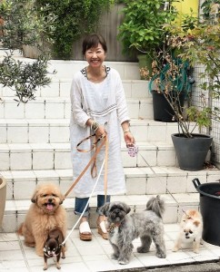 浅田美代子と愛犬（左後方：COO、左手前：カル、中央：与作、右：アヴィ）
