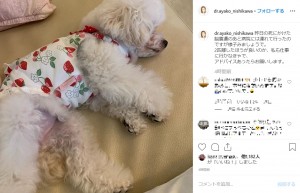 「アドバイスあったらお願いします」と西川史子（画像は『西川史子　2019年10月29日付Instagram「昨日の死にかけた脳震盪のあと病院には連れて行ったのですが様子みましょうで。」』のスクリーンショット）