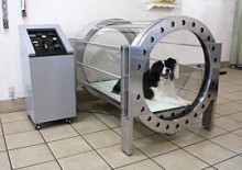 ペットの健康をアスリート待遇でケア、ペット用の高気圧酸素カプセル「Dogs O2」。