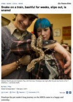 【米国発！Breaking News】地下鉄内で行方不明になって1か月。ペットのヘビ、無事保護される（ボストン）