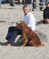 【イタすぎるセレブ達】俳優ジョージ・クルーニー、大型犬と一緒のCM撮影で超ゴキゲン。