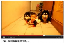 【アジア発！Breaking News】赤ちゃんと一緒にハイハイする2匹の愛犬。かわいい動画が話題に。（台湾）