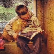 【米国発！Breaking News】動物保護施設で子供達が猫と一緒に読書をするプログラムが好評。（ペンシルベニア州）
