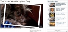 【米国発！Breaking News】「世界一醜い犬コンテスト」優勝のピーナッツ君には、悲しい過去が。（加州）