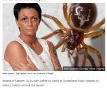 【海外発！Breaking News】蜘蛛に指を一瞬だけ刺された女性。数時間後に指は壊死、切断へ。（英）