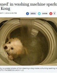 【アジア発！Breaking News】「洗濯機で犬を入浴させたら死んだ」。Facebookの衝撃写真に警察も動く。（香港）