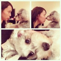 【エンタがビタミン♪】戸田恵梨香が愛犬と“話し合い”。ご主人様へ「ごめんちゃい」する姿が可愛すぎる。