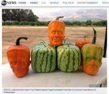 【海外発！Breaking News】ハロウィン用“フランケンシュタインかぼちゃ”を販売。日本からも注文が！（米）