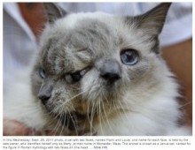 【海外発！Breaking News】2つの顔を持った猫“フランク＆ルイ”、癌のため安楽死。15歳で天国へ。（米）