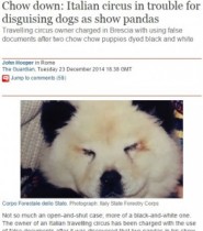 【海外発！Breaking News】パンダ風に染めたチャウチャウ犬を出演。動物虐待でサーカスに罰金。（伊）