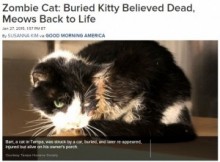 【海外発！Breaking News】土葬5日後の“ゾンビ猫”。車にはねられ、死んだと勘違い。（米）