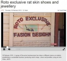 【海外発！Breaking News】繁殖するネズミに目をつけた男性、その皮や毛で作った小物を販売！（南ア）