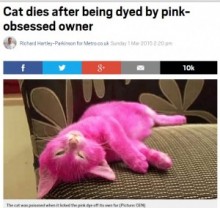 【海外発！Breaking News】ピンク色が好きな女性に飼われた猫、毛染めで死亡か。しかし…。（露）