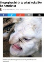 【海外発！Breaking News】「人面羊」がロシアで誕生。ワシ鼻、裂けた口、しゃくれたアゴ。