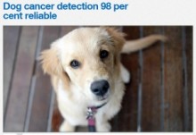【海外発！Breaking News】犬の嗅覚で「前立腺ガン」を発見。精度は98％と英・伊研究チーム。