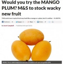 【海外発！Breaking News】マンゴー×プラム、タイ発の新しい果実が世界へ進出中。