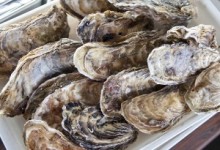 【海外発！Breaking News】牡蠣料理から真珠がザクザクと50粒。女性客は大興奮。（米）