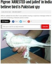 【海外発！Breaking News】1羽の白いハト、パキスタンからのスパイ容疑で逮捕される（印）