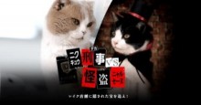 【エンタがビタミン♪】「ネコ刑事vsネコ怪盗」CGなし演技なし“猫の手も借りた”企業動画の不思議な説得力。