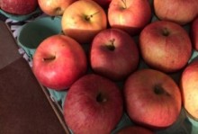 【海外発！Breaking News】小学校で児童がリンゴを喉に詰まらせて死亡。応急処置できる教師少なく（南ア）