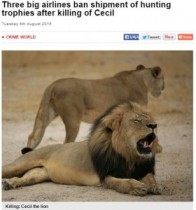 【海外発！Breaking News】射殺された偉大なライオン“セシル”。そのトロフィー（頭部）空輸を米航空3社が拒否。