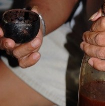 【海外発！Breaking News】古代アマゾンの神秘ツアー参加の男性、儀式の飲み物で死亡（ペルー）