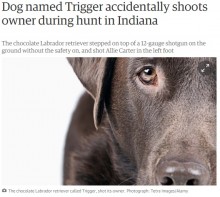 【海外発！Breaking News】犯人は愛犬“トリガー”。散弾銃の引き金を踏み、飼い主大怪我（米）