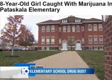 【海外発！Breaking News】小学校トイレでマリファナを吸った8歳女児「スクールバスでもらった」（米）
