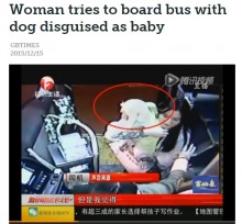 【海外発！Breaking News】「赤ちゃんよ」犬にベビー服を着せバスに乗ろうとした女（中国）