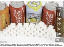 【海外発！Breaking News】「ソーダ税」導入で功を奏すか　毎日の砂糖入り飲料で内臓脂肪30％増（米）