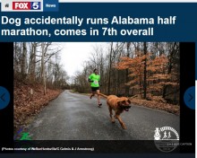【海外発！Breaking News】ハーフマラソンに飛び入りした犬、見事7位入賞（米）
