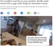 【海外発！Breaking News】冷蔵庫下から世界最恐種のヘビが！　豪アデレードで活躍するヘビ駆除業者