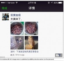 【海外発！Breaking News】絶滅危惧の鳥を調理した男　ウェイボー大炎上で逮捕（中国）