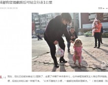 【海外発！Breaking News】交通事故で前脚失ったトイプードル、健気な散歩姿に人々感動（中国）