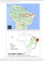 【海外発！Breaking News】ジカ熱の流行、遺伝子組み換えされた蚊が原因か（ブラジル）