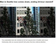 【海外発！Breaking News】24mの木に登った男、丸一日籠城！　米シアトル「Macy's」脇で