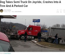 【海外発！Breaking News】大型トラックによる衝突事故　なんとラブラドール犬が運転！（米）