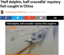 【海外発！Breaking News】イルカとワニのハーフ？　東シナ海で奇妙な生き物を捕獲！