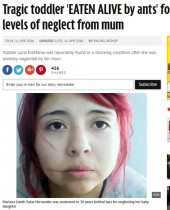【海外発！Breaking News】1歳女児アリに食い殺される　ネグレクトの母に30年の実刑判決（メキシコ）　