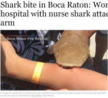 【海外発！Breaking News】サメに襲われた女性　噛みつかれたまま病院へ（米）
