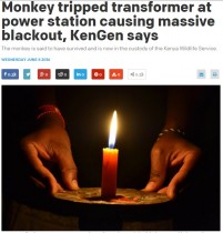 【海外発！Breaking News】ケニア全土で大停電　サルが水力発電所をシャットダウン！