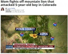 【海外発！Breaking News】5歳息子を襲った野生ライオンに勇敢なママ、体当たりで撃退（米）