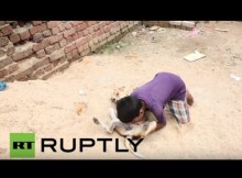 【海外発！Breaking News】野良犬の母乳を飲む少年　狂犬病感染の危険も（インド）＜動画あり＞