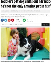 【海外発！Breaking News】ペットのボーダーコリー犬、2歳女児の白血病を嗅ぎ分ける（英）