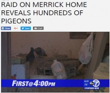 【海外発！Breaking News】家の中にハト350羽を放し飼い　酸素マスクをして暮らしていた男性（米）