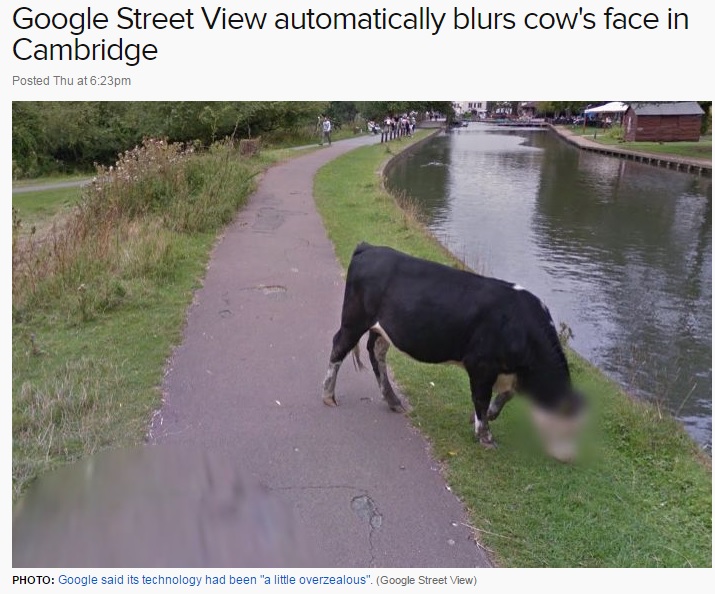 Googleストリートビュー「頑張りすぎて」“牛の顔”にモザイクを入れる（http://www.abc.net.au）