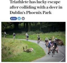 【海外発！Breaking News】転倒して頭を強打した者も　自転車ロードレースに鹿が乱入（アイルランド）