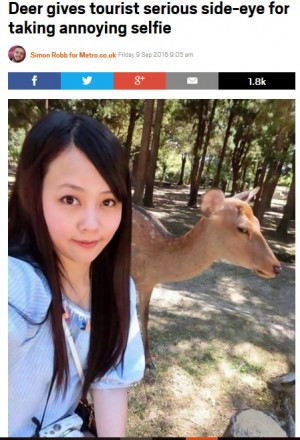 【海外発！Breaking News】観光客の自撮りにうんざりする鹿　「鹿の本音が表れている」と話題に