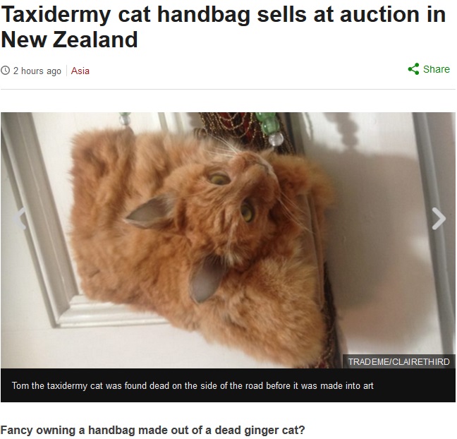猫の剥製バッグに賛否両論（出典：http://www.bbc.com）